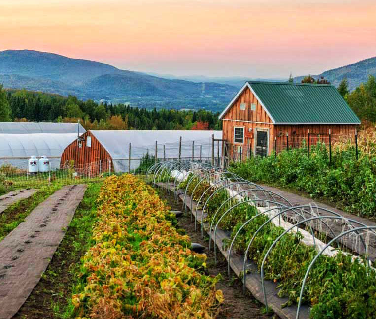 New Earth Organic Farm