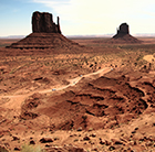 Wasteland